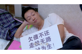 长宁区收债公司收费标准：揭秘债务催收行业的价格之谜