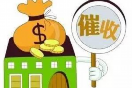 高利贷遭遇催收上门：揭秘催收背后的真相与应对策略