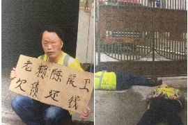 搞垮一个催收公司：揭秘非法催收背后的风险与应对策略